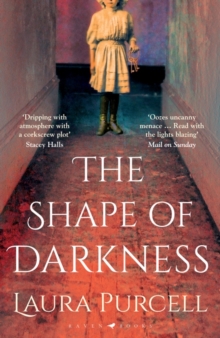 Image for The shape of darkness