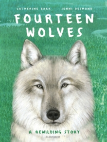 Image for Fourteen wolves