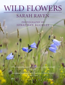 Sarah Raven’s Wild Flowers