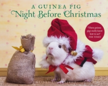 Image for A Guinea Pig Night Before Christmas