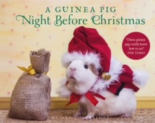 Image for A guinea pig night before Christmas