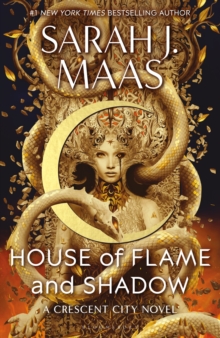 Image for House of flame and shadow