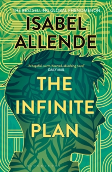 Image for The Infinite Plan