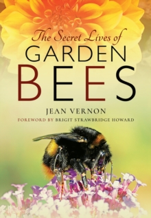 Image for The secret lives of garden bees