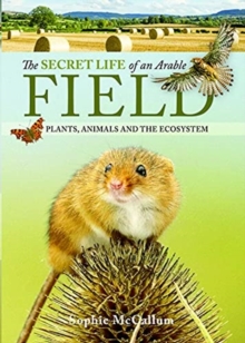 Secret Life of an Arable Field