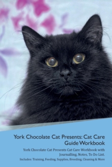 Image for York Chocolate Cat Presents