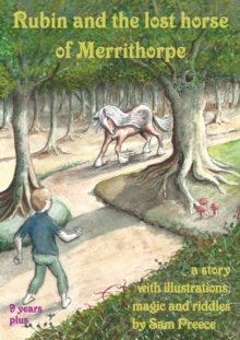 Image for Rubin and the lost horse of Merrithorpe