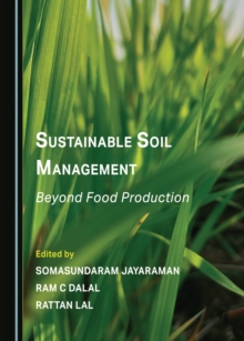 Image for Sustainable soil management: beyond food production