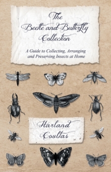 Image for The Beetle and Butterfly Collection - A Guide to Collecting, Arranging and Preserving Insects at Home