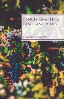 Image for Bench-Grafting Resistant Vines