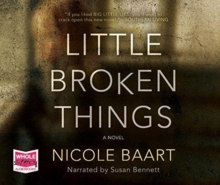 Little Broken Things