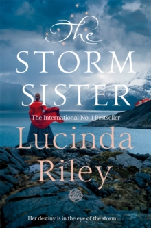 Image for The storm sister