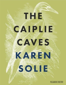 Image for The Caiplie caves
