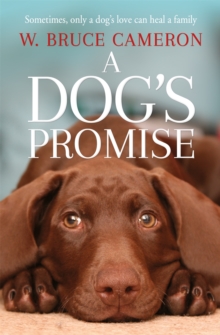 Image for A dog's promise