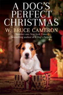 A Dog’s Perfect Christmas