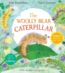 Image for The woolly bear caterpillar