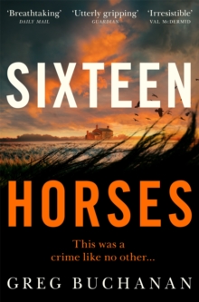 Image for Sixteen horses