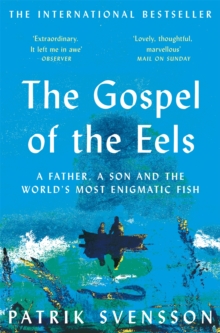 Image for The gospel of the eels  : a father, a son and the world's most enigmatic fish