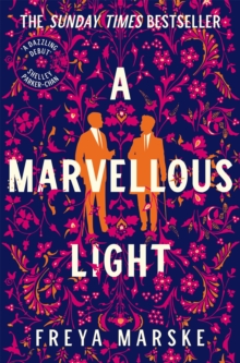 A Marvellous Light: a dazzling, queer romantic fantasy