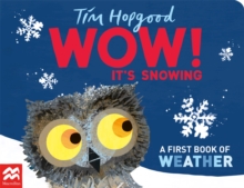 Image for Wow! it's snowing  : a first book of weather