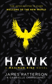 Image for Hawk: A Maximum Ride Novel