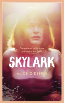 Image for Skylark  : a novel