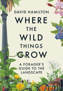 Where the Wild Things Grow: A Forager’s Guide to the Landscape