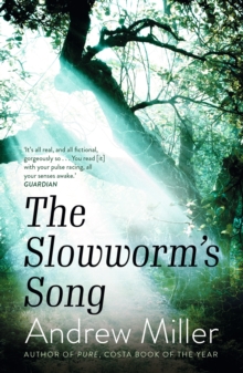 Image for The slowworm's song