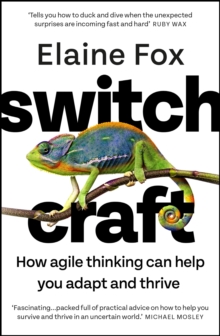 Switchcraft: How Agile Thinking Can Help You Adapt and Thrive