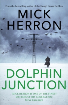 Image for Dolphin Junction
