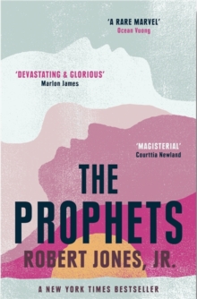 Cover for: The Prophets