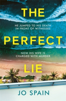 Image for The perfect lie