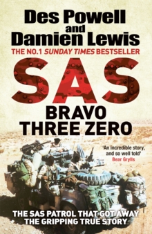 Image for SAS Bravo Three Zero