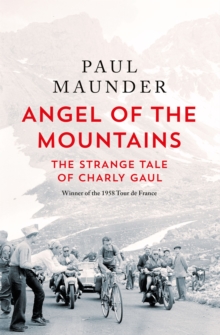 Image for Angel of the Mountains
