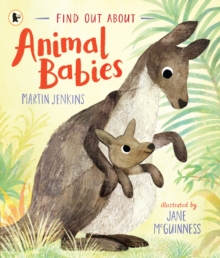 Image for Find Out About ... Animal Babies