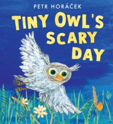 Image for Tiny Owl's scary day