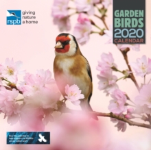 Image for RSPB British Garden Birds Square Wall Calendar 2020