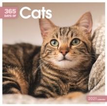 Cats 365 Days Square Wall Calendar 2021