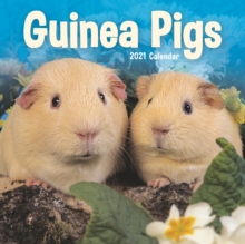 Image for Guinea Pigs Mini Square Wall Calendar 2021
