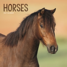 Image for Horses Square Wiro Wall Calendar 2021