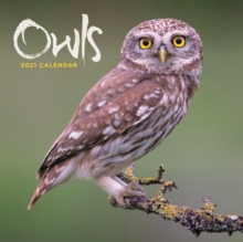 Image for Owls Mini Square Wall Calendar 2021