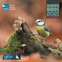 Image for RSPB British Garden Birds Square Wall Calendar 2021