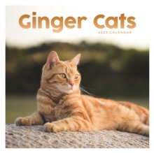 Image for Ginger Cats Square Wall Calendar 2022