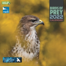 Image for RSPB Birds of Prey Square Wall Calendar 2022