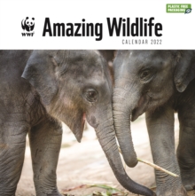 Image for WWF Amazing Wildlife Square Wall Calendar 2022