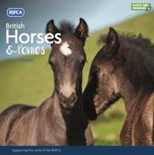 Image for British Horses & Ponies, RSPCA Square Wall Calendar 2022