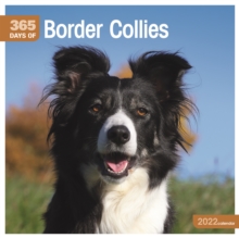 Border Collies 365 Days Square Wall Calendar 2022