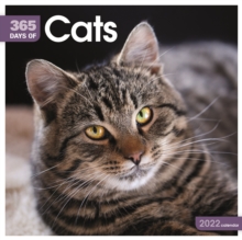 Cats 365 Days Square Wall Calendar 2022