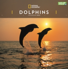 Image for Dolphins National Geographic Square Wall Calendar 2022
