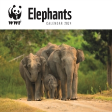 WWF Elephants Square Wall Calendar 2024